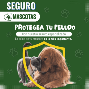 ✅seguro para mascotas en Cali